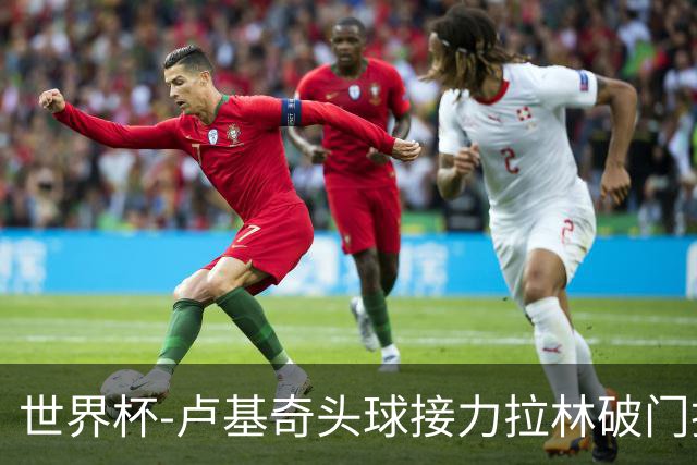 世界杯-卢基奇头球接力拉林破门扳平 加拿大1-1波黑